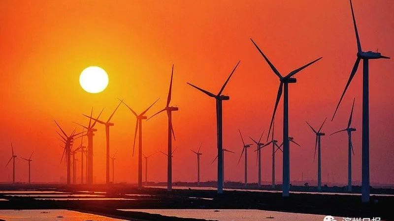 光伏组件运输成本每瓦：解析影响及优化策略
